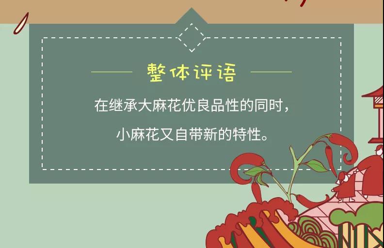 一竞技官网 – 瞬息之间,洞悉赛场