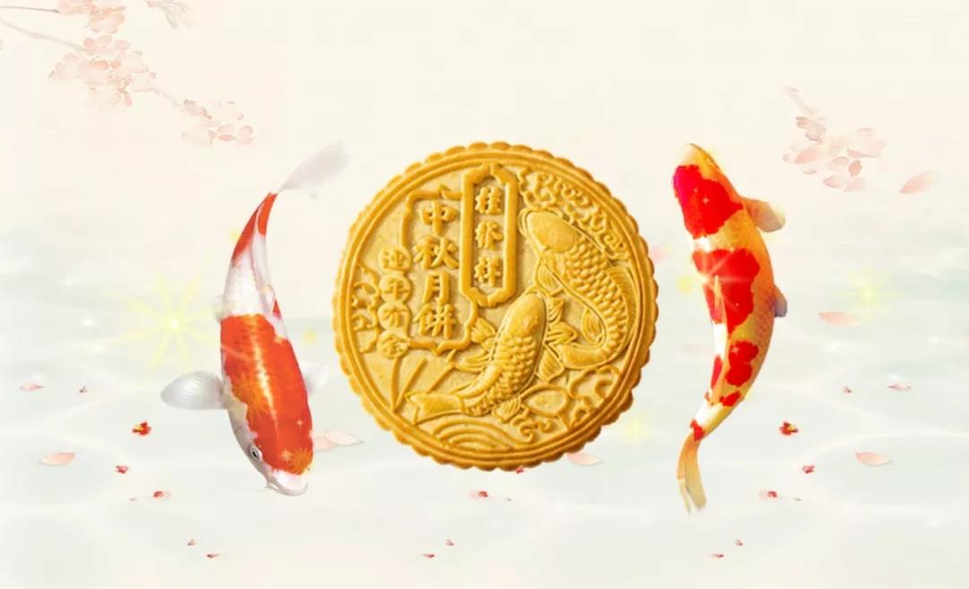 一竞技官网 – 瞬息之间,洞悉赛场