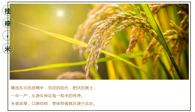 e511711028a03a3bf632d208c4693f93